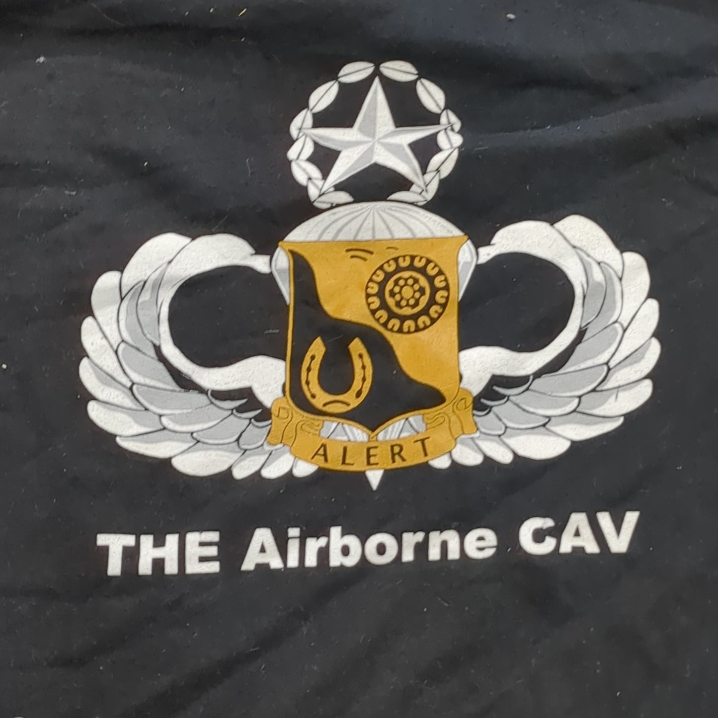 US Army Small 1st Squadron 91st Cavalry Regiment Airborne Cav Sweat Shirt Cold Weather Excellent Condition (fb13-JUN205)