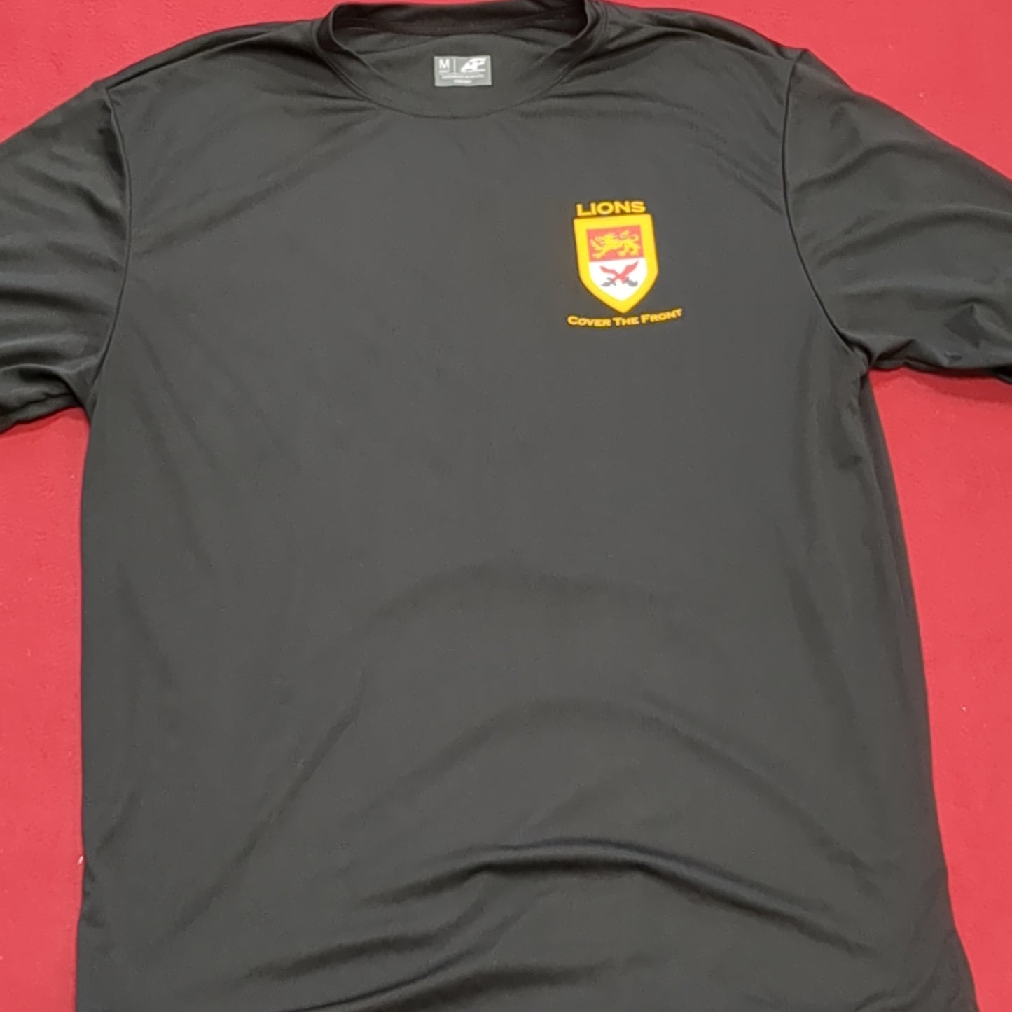 US Army 2-15 Cav, 194th AR BDE PT T-Shirt Medium (ea04-JUL388)