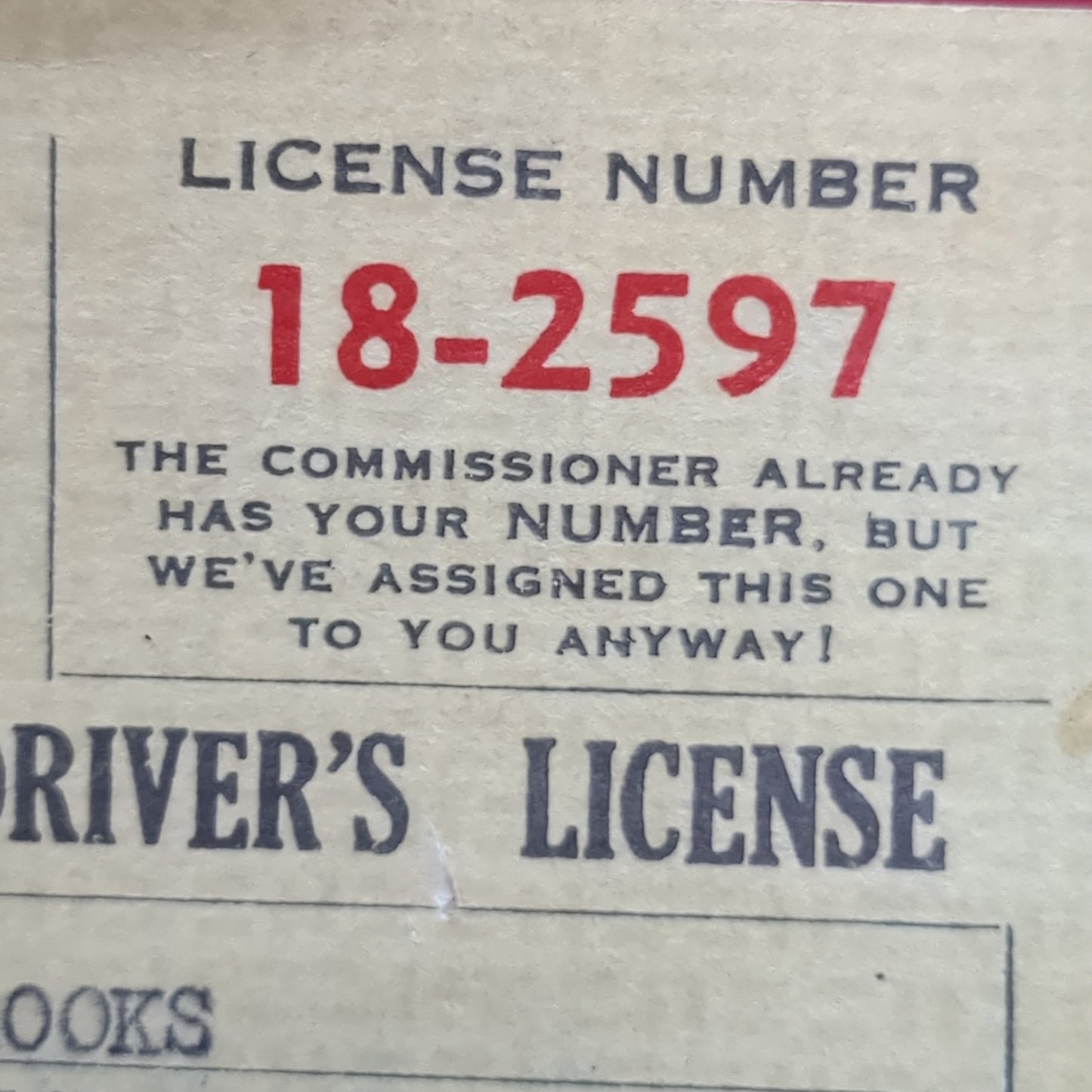 1954 State of Nervousness Back Seat Driver's License (11S (ab10-t)