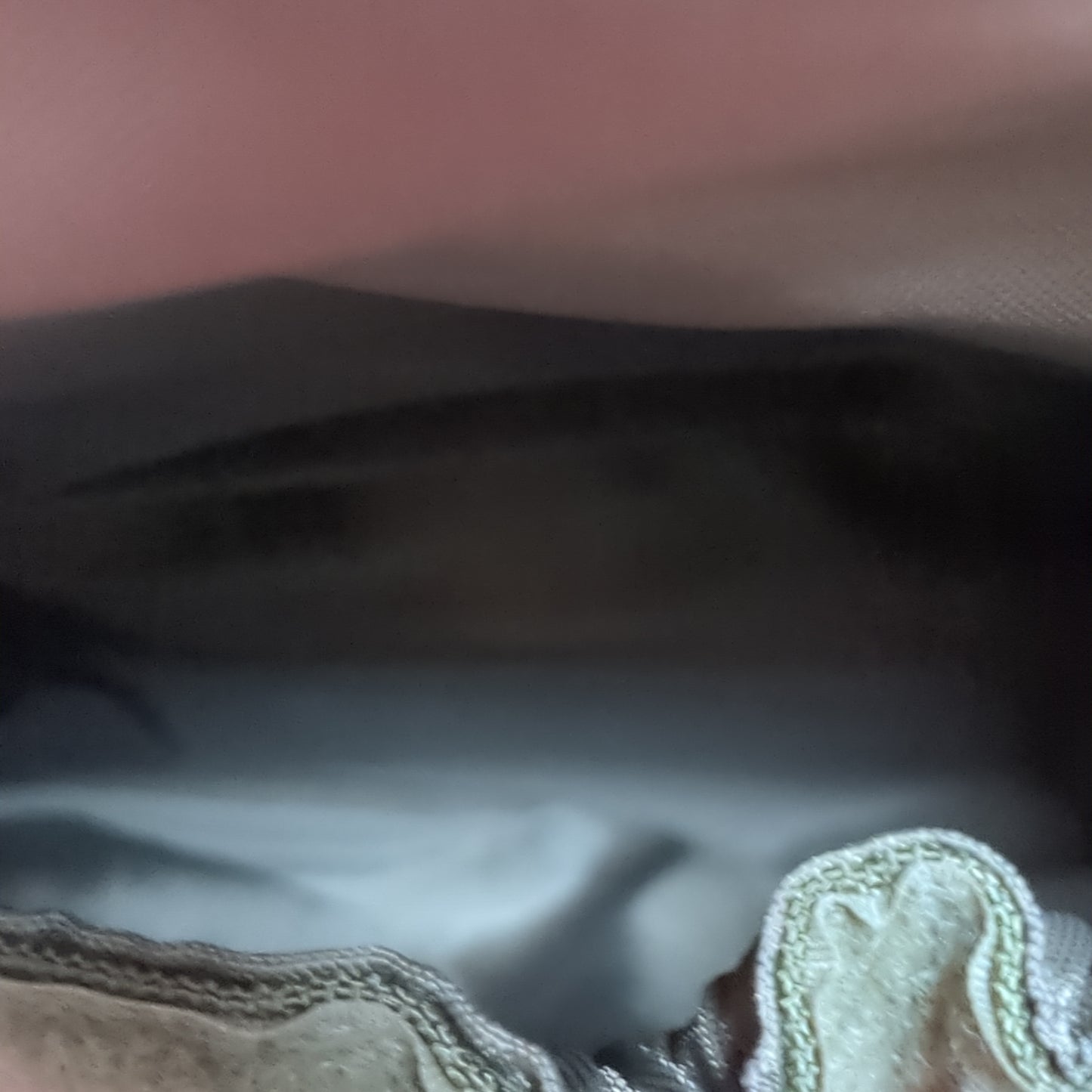 Eagle Industries Coyote Gas Mask Molle Pouch *5162* Excellent Condition (36cr- ca4-SEP74)