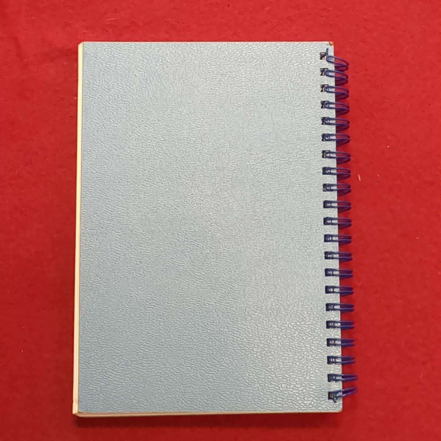 NOS SkyLog Sky Divers Log Book (manual-SEP77)