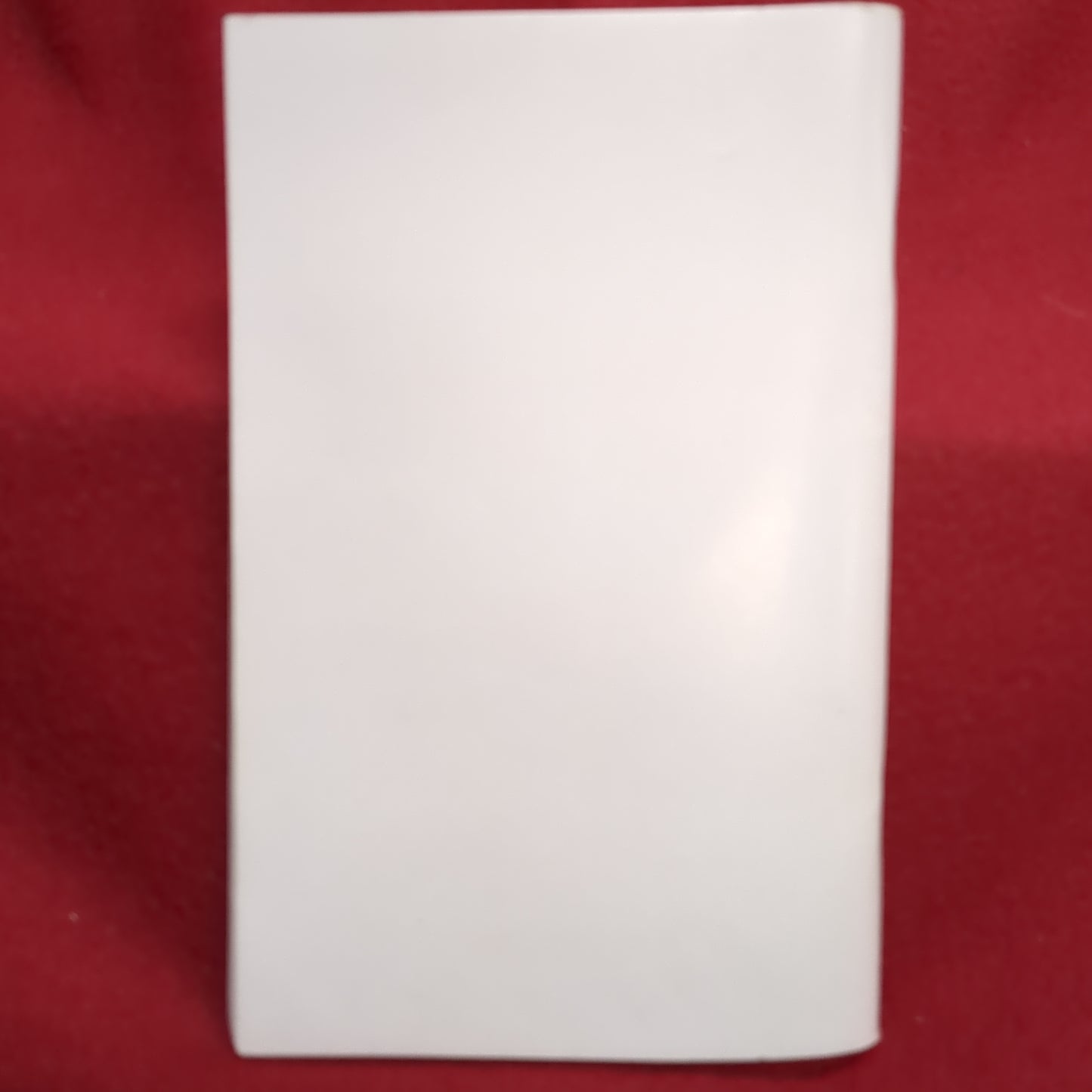 BOOK: XVIII AIRBORNE CORPS : AMERICA'S CONTINGENCY CORPS: THE DRAGON STANDARD THIS PAMPHLET SUPERSEDES CORPS PAMPHLET 600-2, FEBRUARY 2005 (box18)