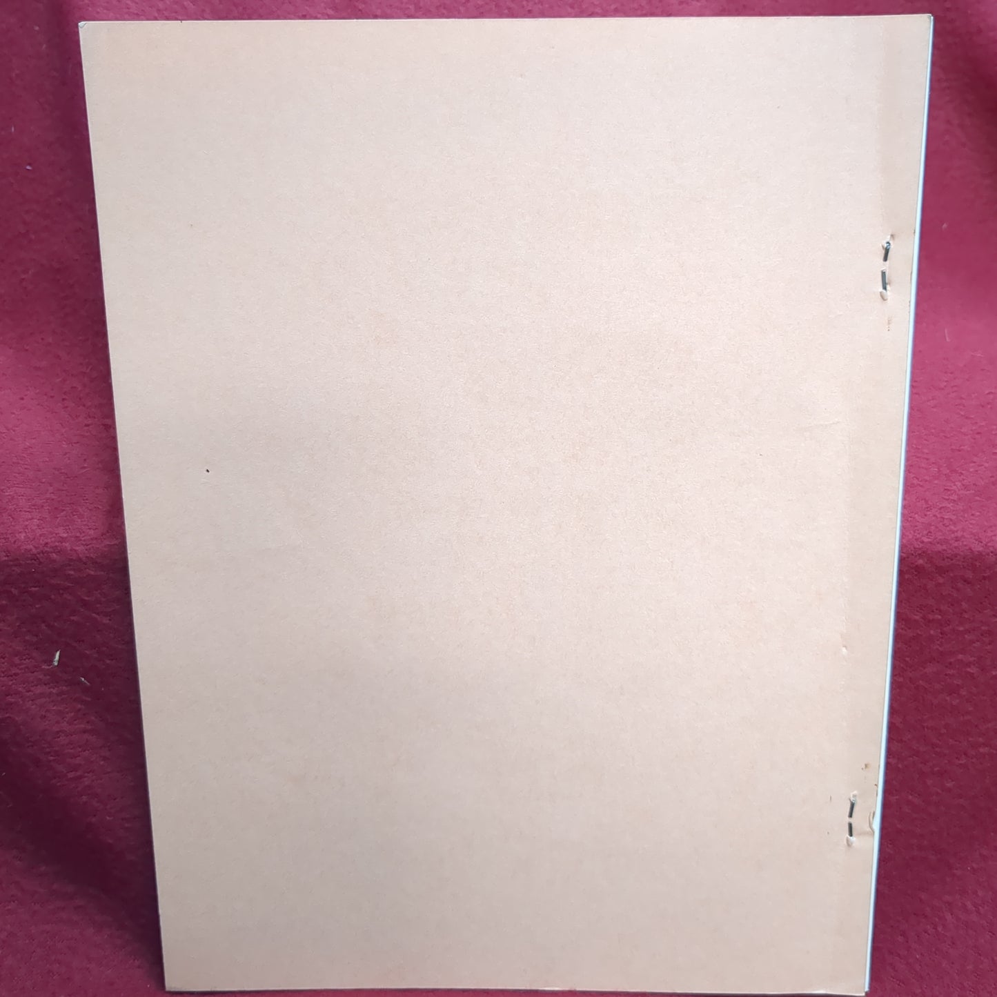 BOOK THE UNITED STATES MARKSMANSHIP TRAINING UNIT SHOOTING TEAM 1968 EDITION(BOX 25)