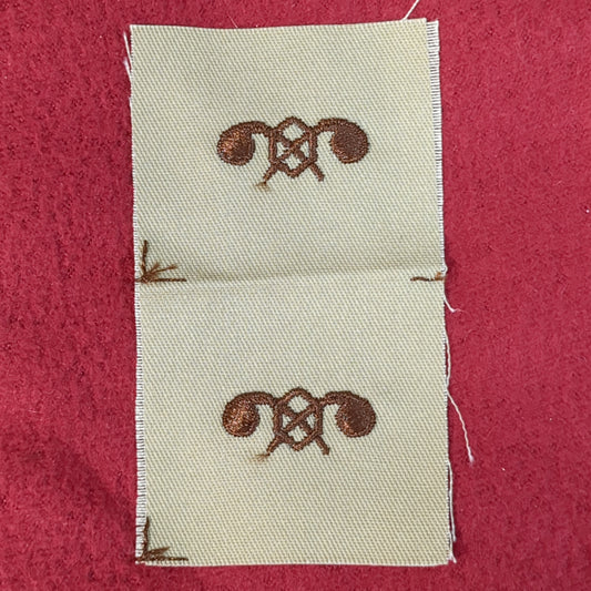 SET of NOS US Army Chemical Corps Branch Sew on Patch Desert DCU Camouflage (WSA06-FC)