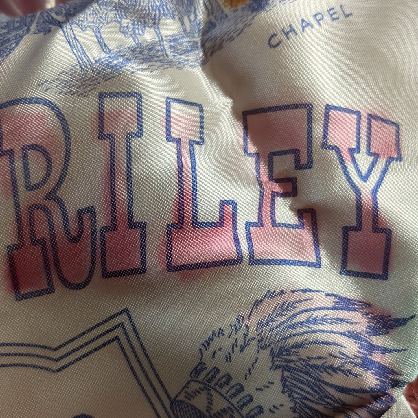 Vintage Fort Riley Kansas Throw Pillow Cover (aa11-16)