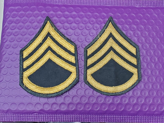 10 SETS VINTAGE Large Men's Dress Uniform STAFF SERGEANT E-6 Dress Green Sew On (11CR1)