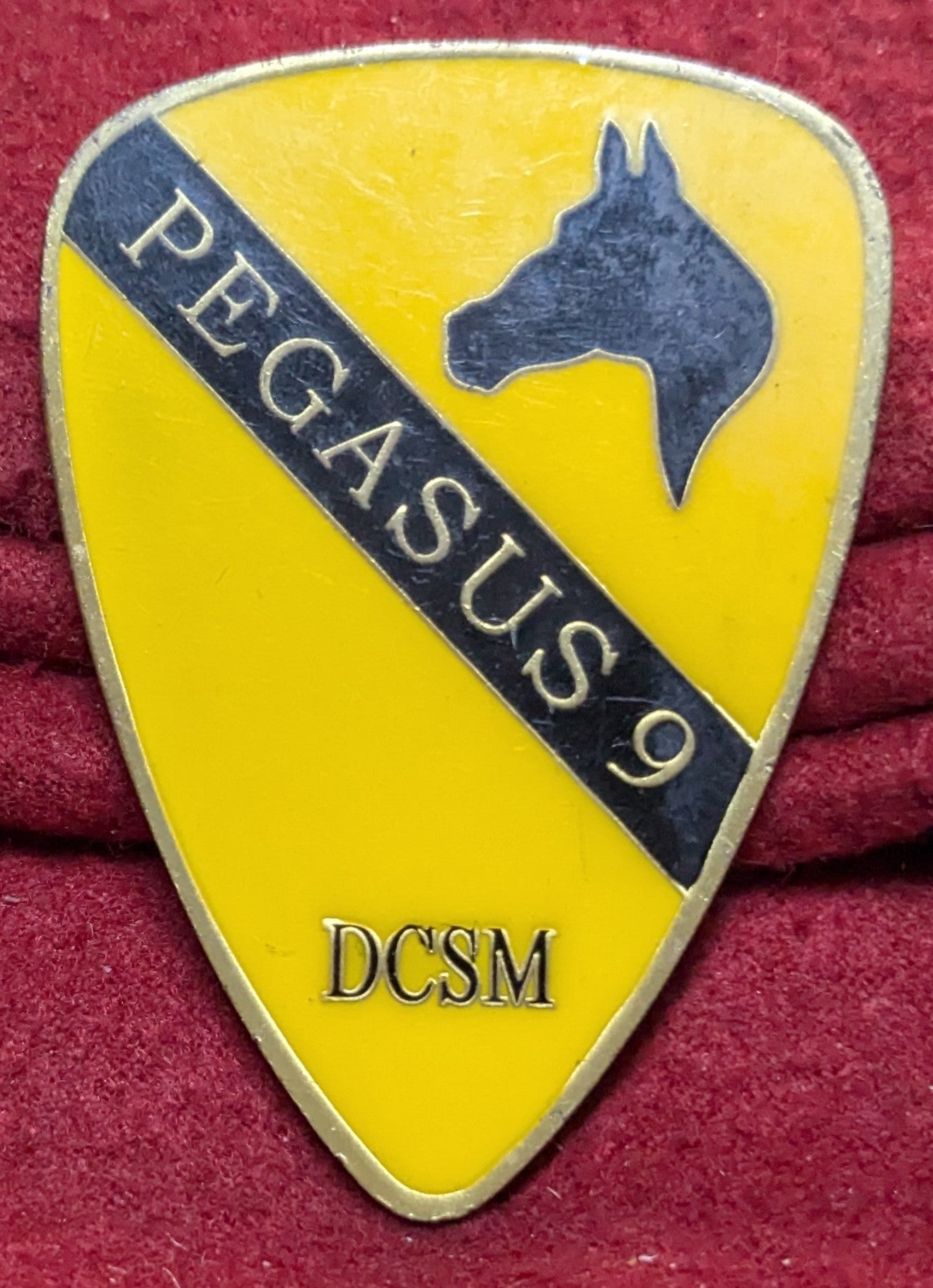 Challenge Coin Pegasus 9 DCSM Americas First Team (chcc-25APR171)