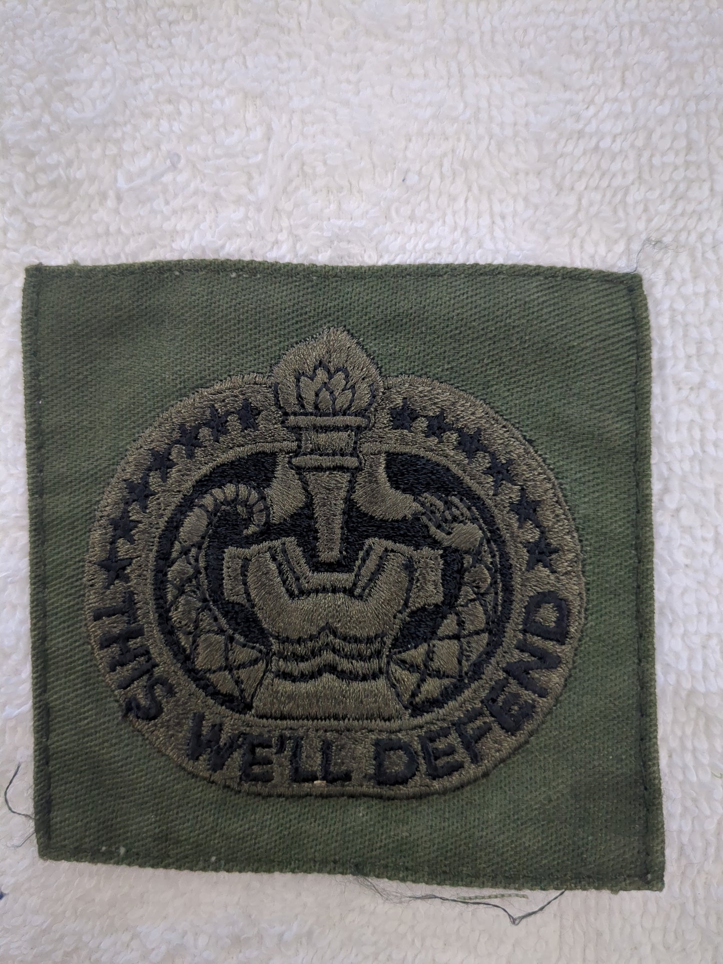 US Army Drill Sergeant Badge OD Black Subdued Sew-On (wsb11-DrillBadge)