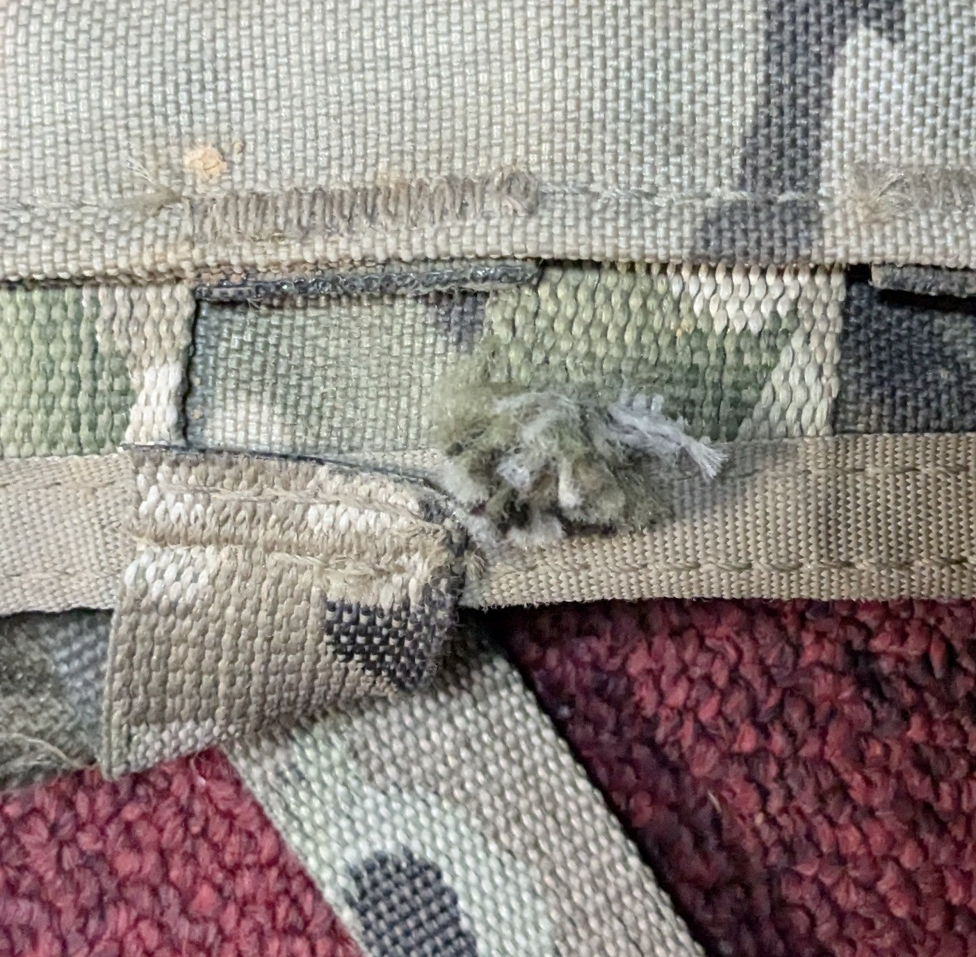 Bulldog Molle Panel - Shoulder Straps - Waistbelt (DC11-25May114)