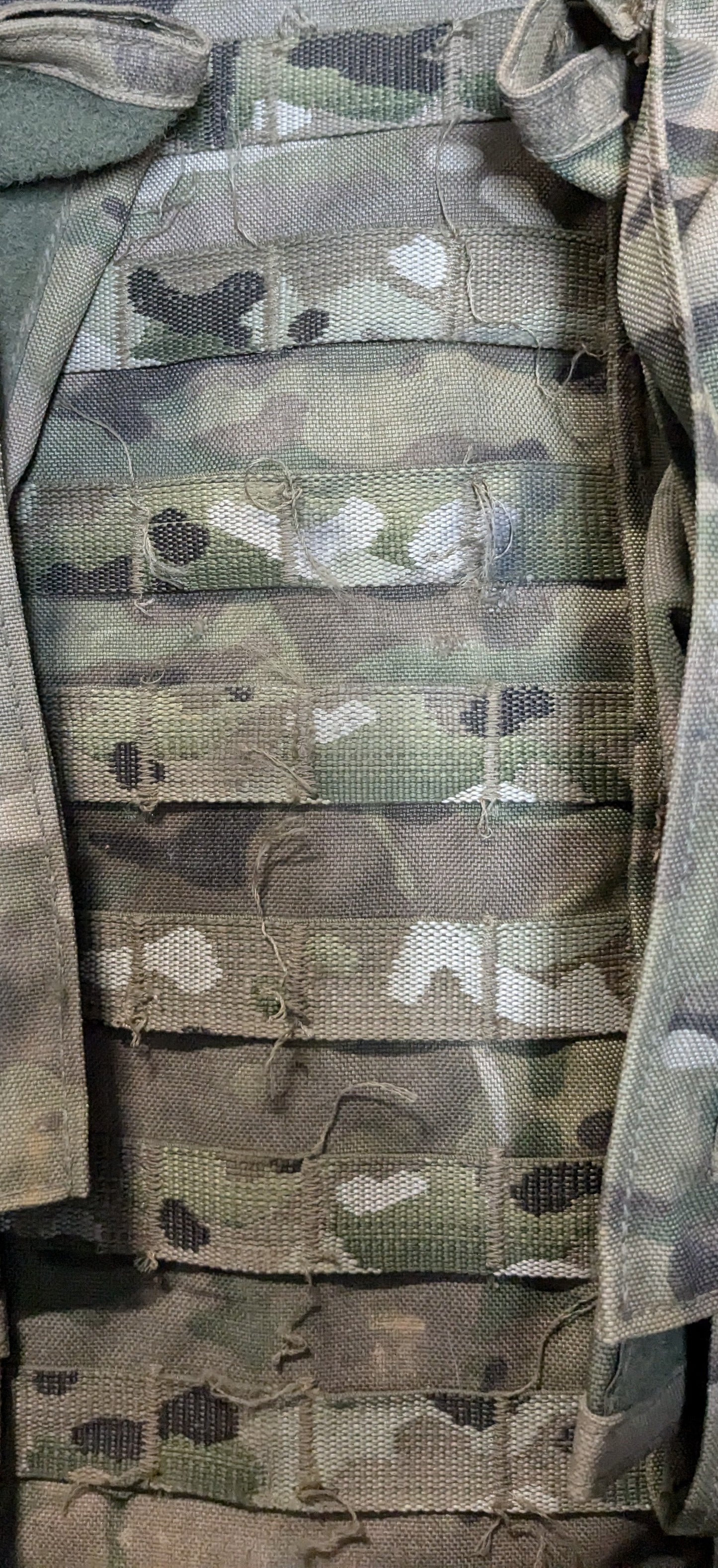 Bulldog Molle Panel - Shoulder Straps - Waistbelt (DC11-25May114)