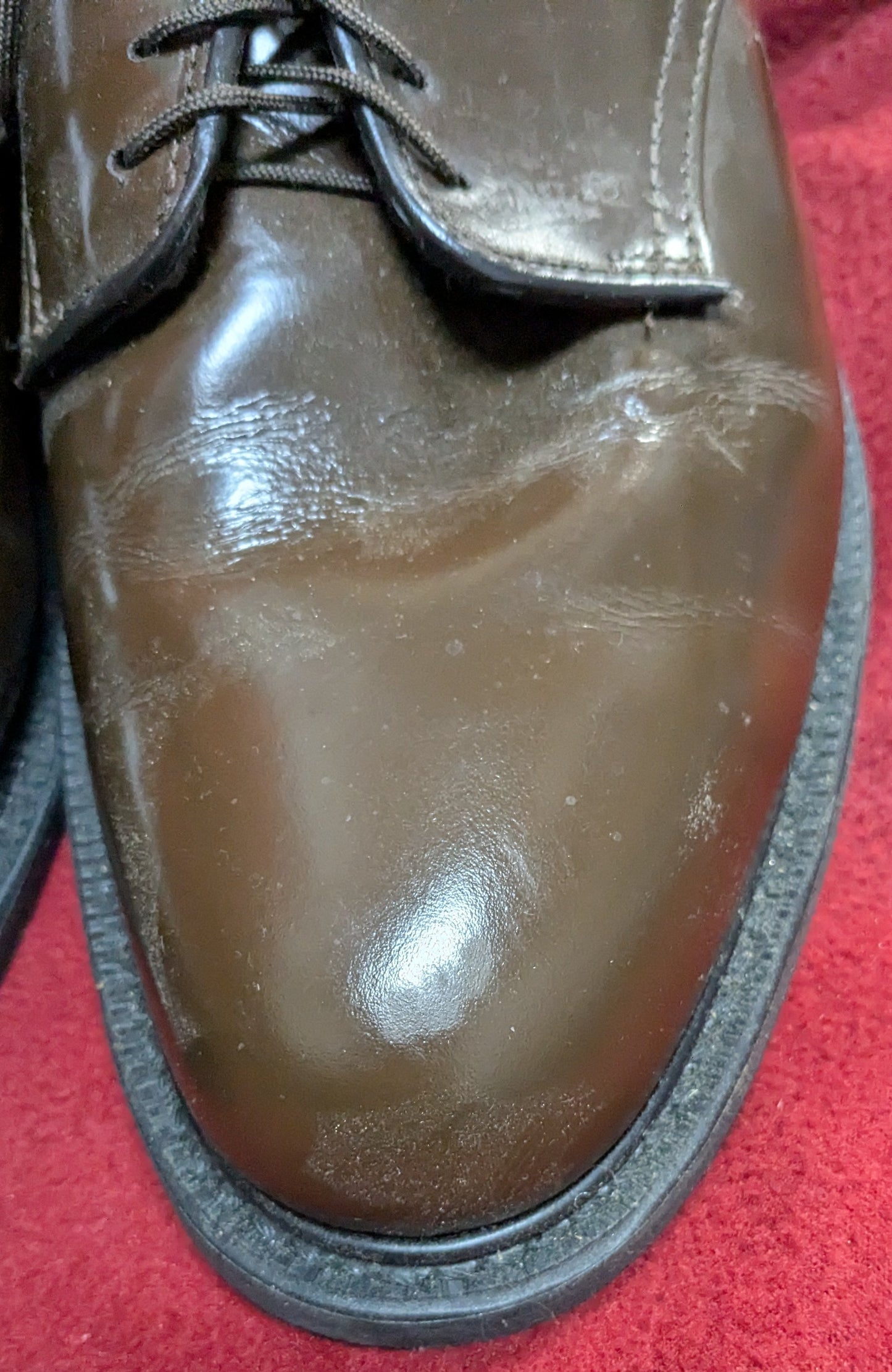 NOS Capps Military Dress Shoe Brown 13 D (fa01-25APR104)