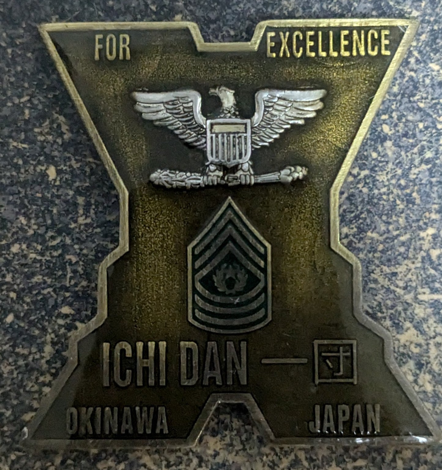 Challenge Coin Service Through Support Ichi Dan (CHCC-25Jul25)