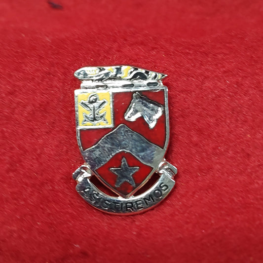 VINTAGE US Army 9th ENGINEER Unit Crest Pin (03CR42)