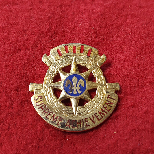 VINTAGE US Army 335th PERSONEL & ADMIN BATTALION Badge Pin (19CR30)