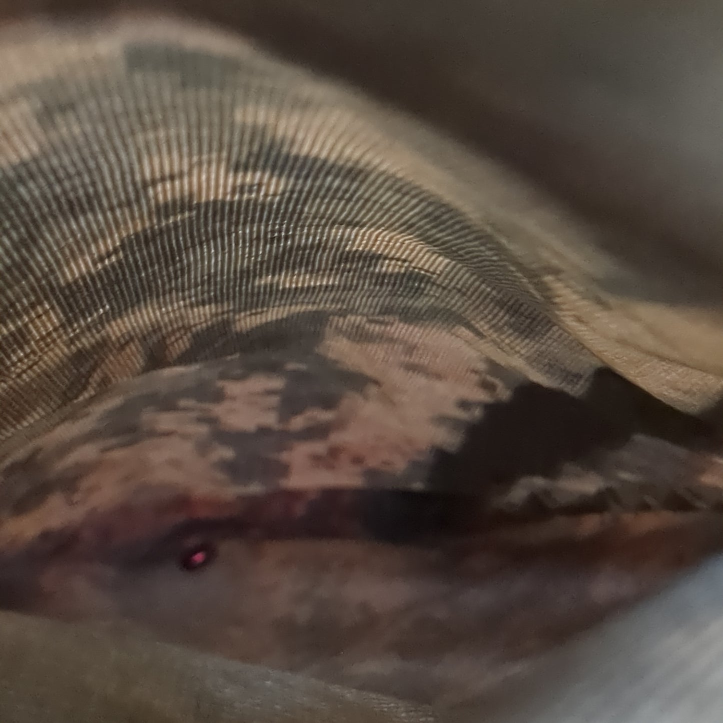 US Army Hydration carrier Only* ACU/UCP Excellent Condition (fb12-AUG162)