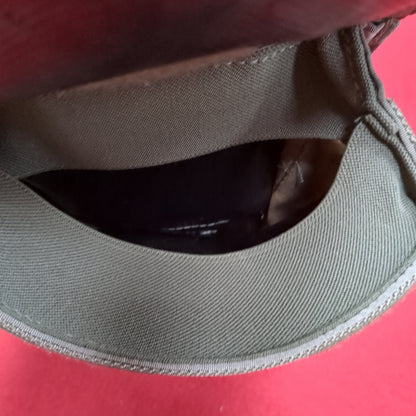Dump Pouch UCP/ACU Leg Drop Molle Excellent Condition (aa02-DEC19)