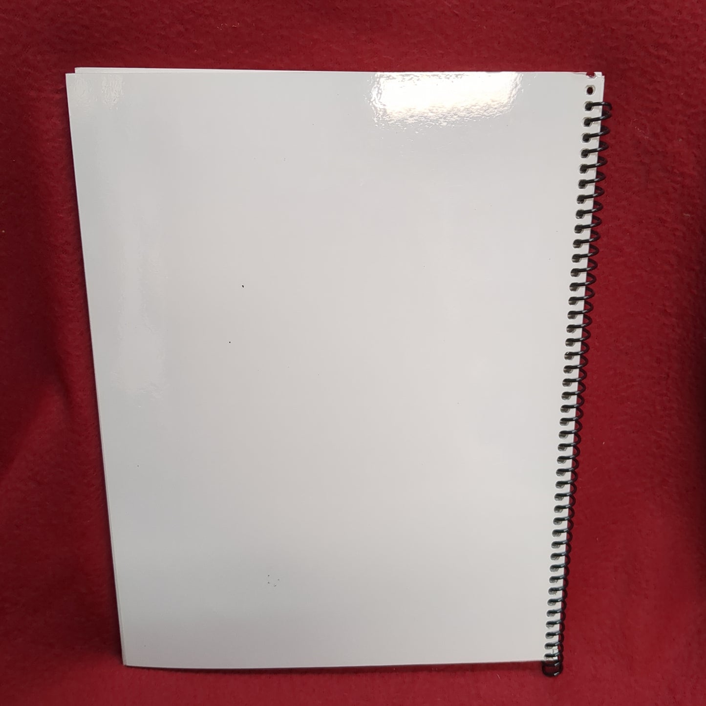 BOOK  -  SECTION 21: THE CIVIL WAR: 1861-1865  (BOX41)