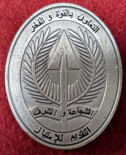 Challenge Coin Courage and Honor Presented For Excellence (chcc-25May55)