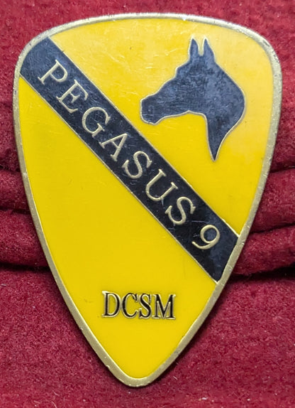 Challenge Coin Pegasus 9 DCSM Americas First Team (chcc-25APR171)