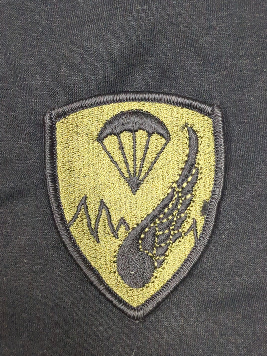 US Army 187th Airborne RCT Regimental Combat Team Sew on Patch Subdued OD Black (bu11-187AB)