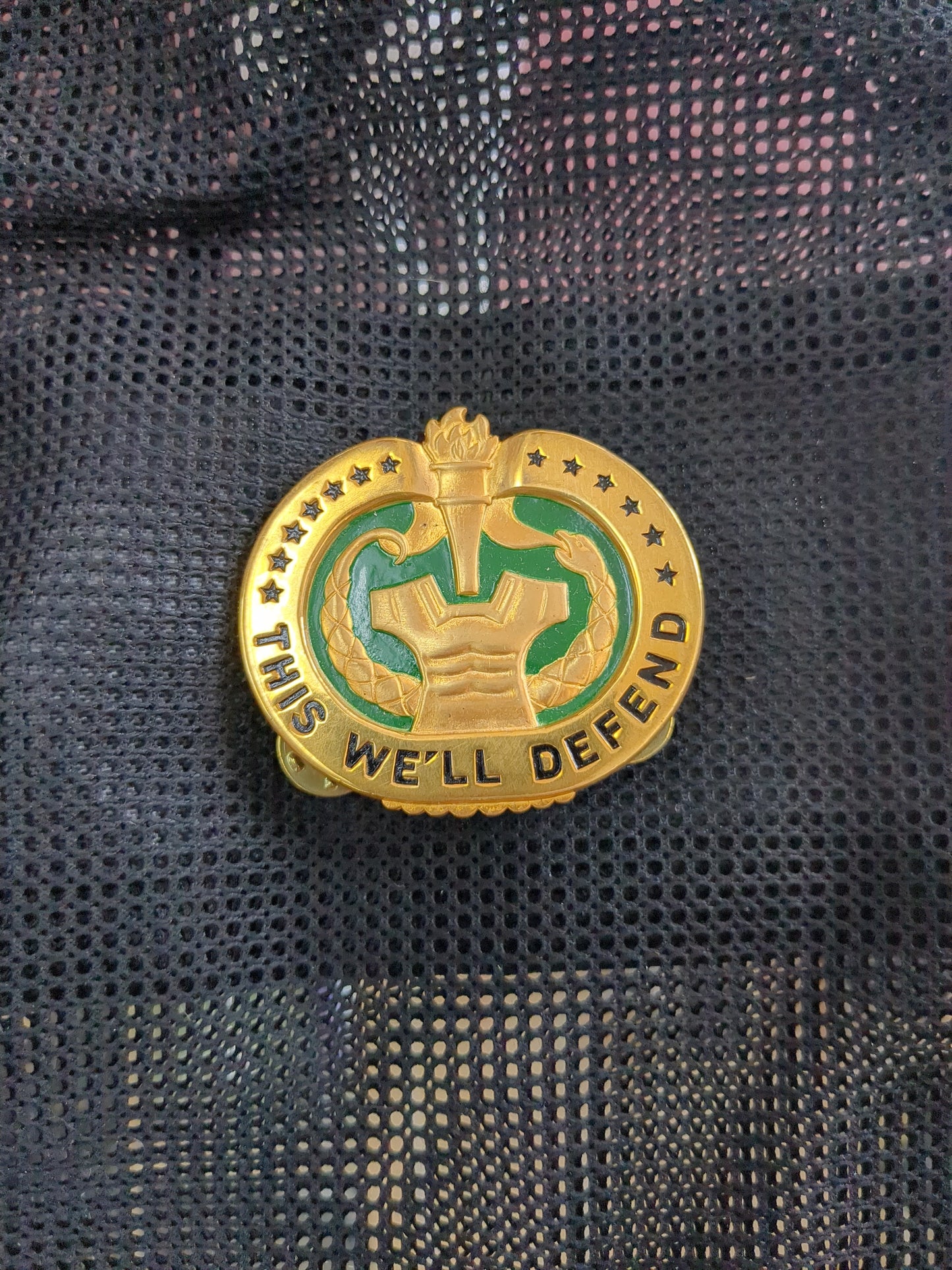 US Army Drill Sergeant  Badge (WSB07-XO2E)