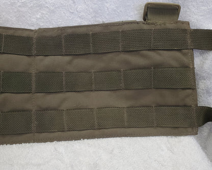 Eagle Industries Ranger Green H-Harness Molle Panel (DC12-long)