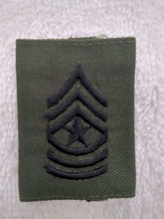 US Army SGM Goretex Rank Subdued (WSB12-SGMGoretex)