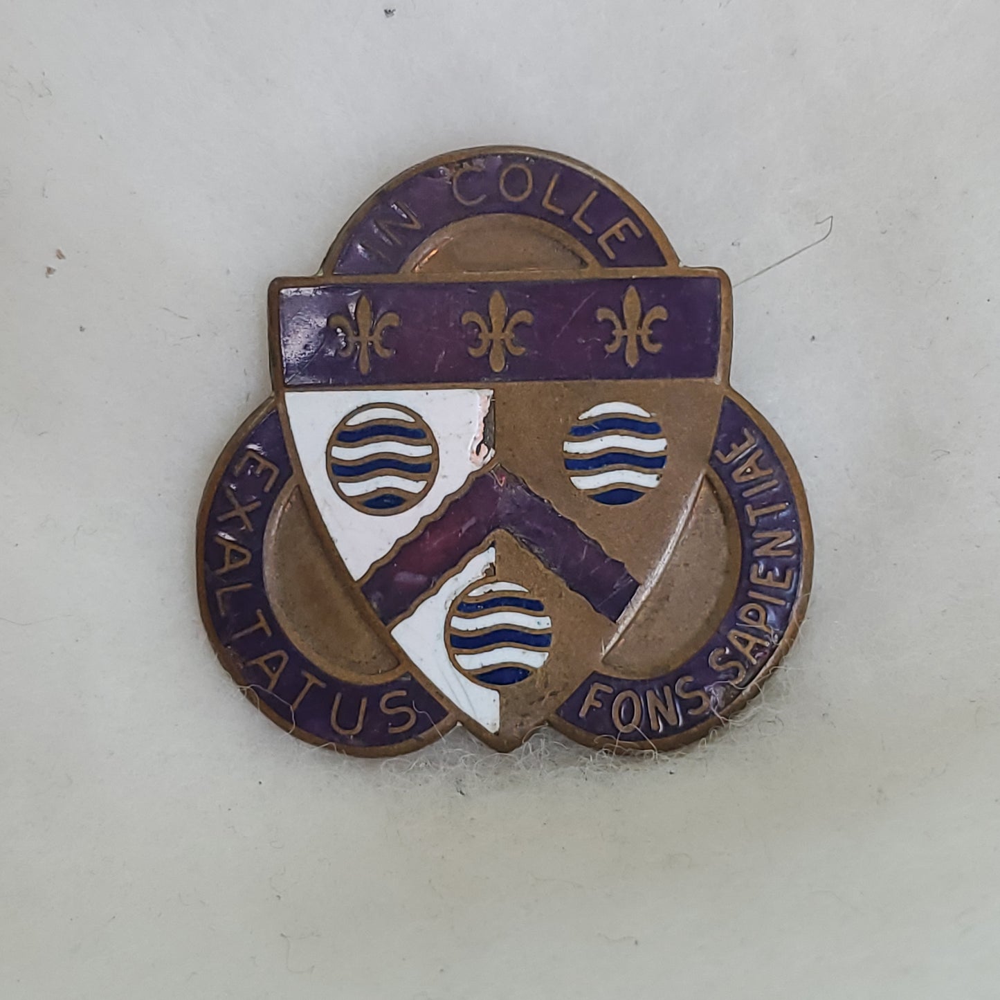 South African Army, Springs Commando Pin (R5)