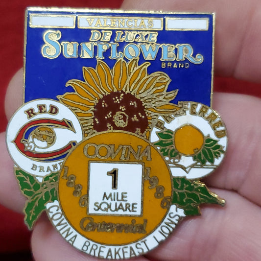 VINTAGE 1886-1986 COVINA CENTENNIAL Lions Club International Convention Pin (06o40)