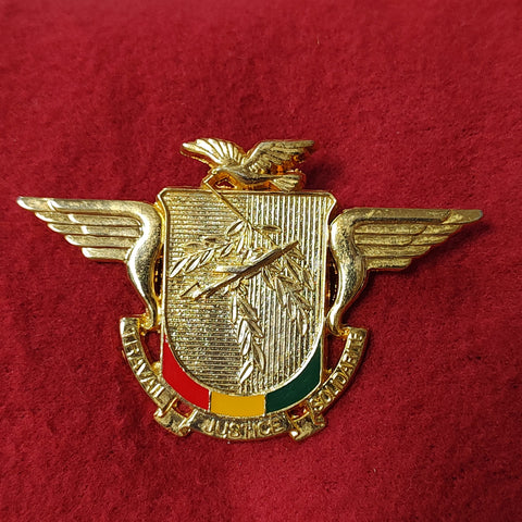VINTAGE GUENEA AIR FORCE Badge Pin (16CR14)
