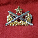 VINTAGE Ranger Qualification VIETNAM WAR Pin-On Badge Rank Unit Crest (16CR43)